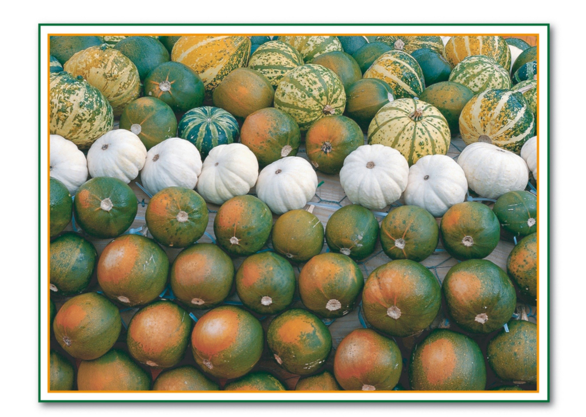 Halloweenkaart pompoenen Kaart TMS