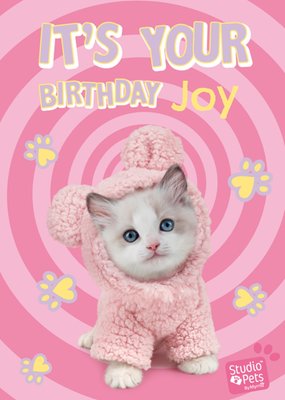 Studio Pets | It's Your Birthday | Kitten