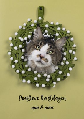 Catchy Images | Kerstkaart | kat