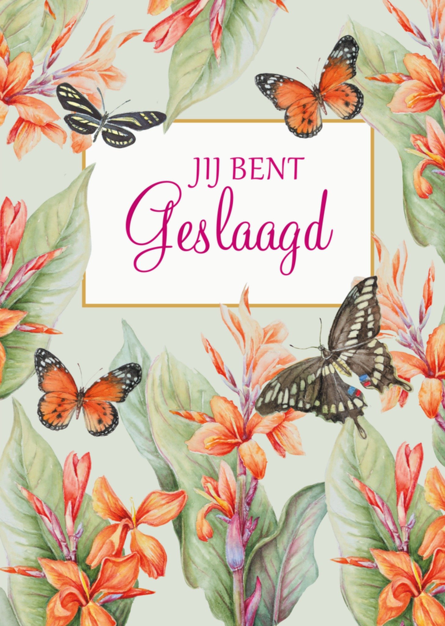 Geslaagdkaart Jij Bent Geslaagd Geïllustreerde vlinders en bloemen Kaart Janneke Brinkman