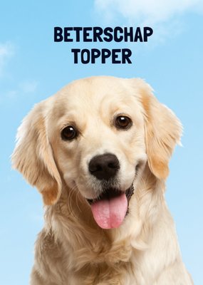TMS | Beterschapskaart | Hond