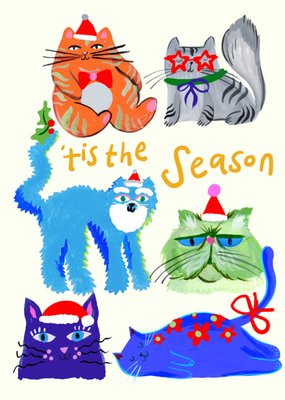 Eleanor Bowmer | Kerstkaart | 'Tis The Season | Illustrated Cats
