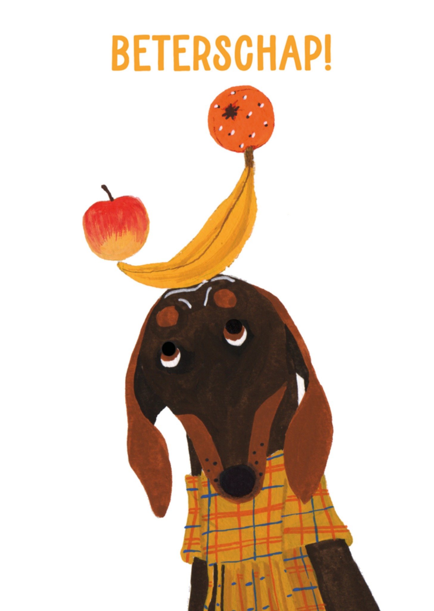 Beterschapskaart Fruit Teckel Kaart Noëlle Smit