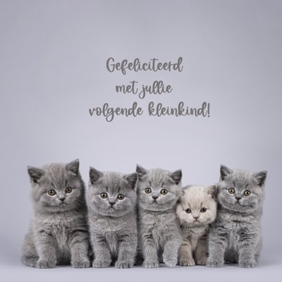 Catchy Images | Geboortekaart | Kleinkind