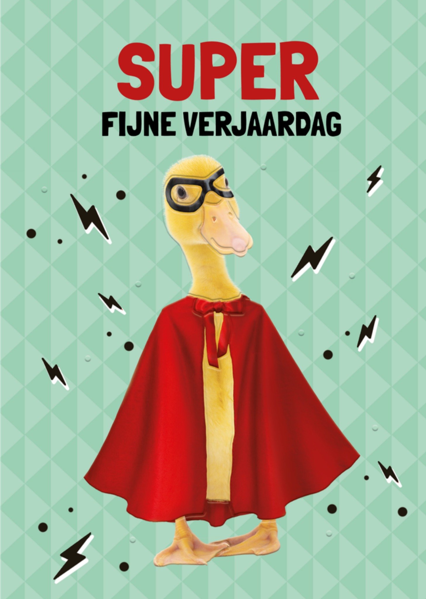 Verjaardagskaart Eendje Kaart TMS