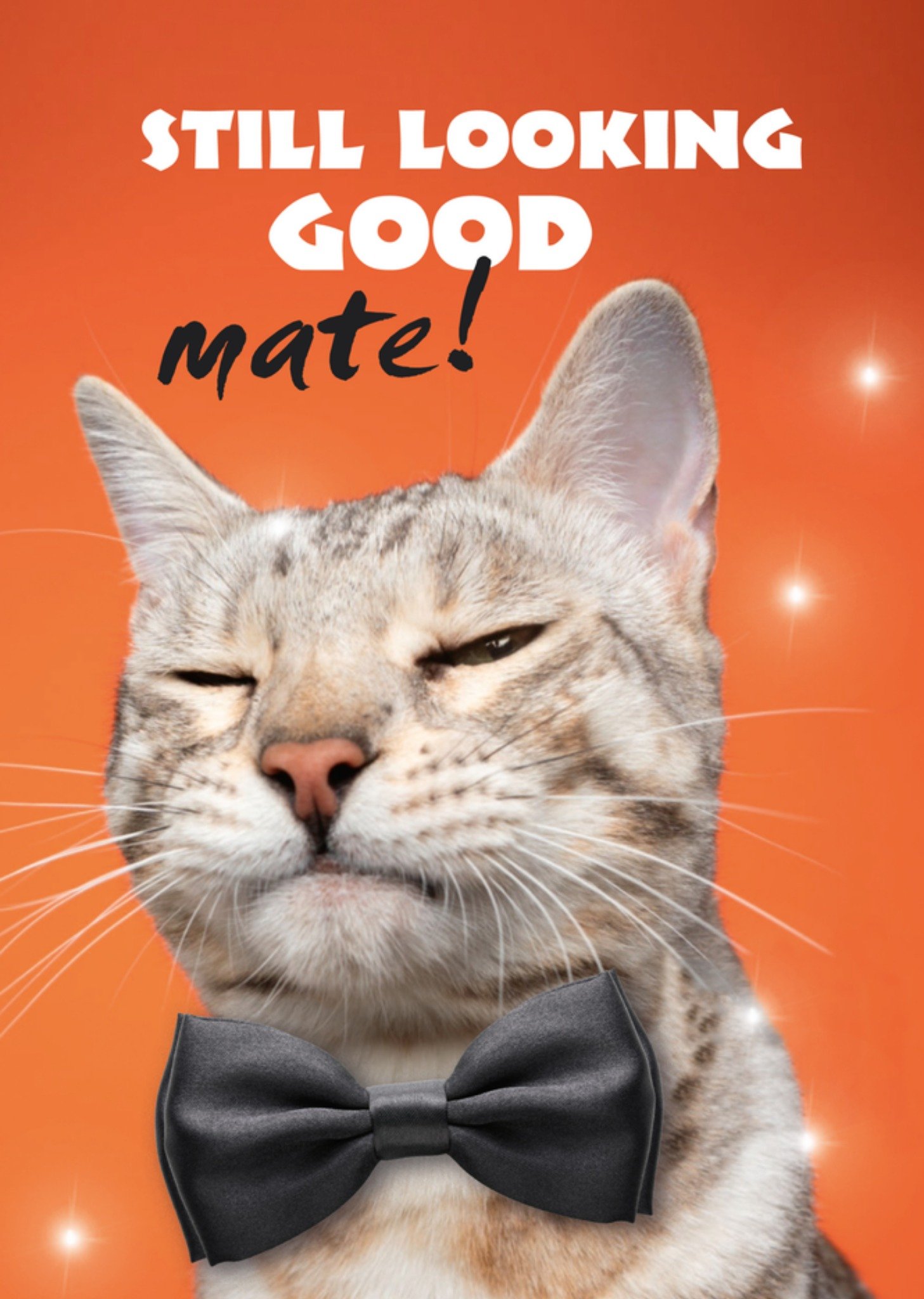 Verjaardagskaart kat maat Kaart TMS