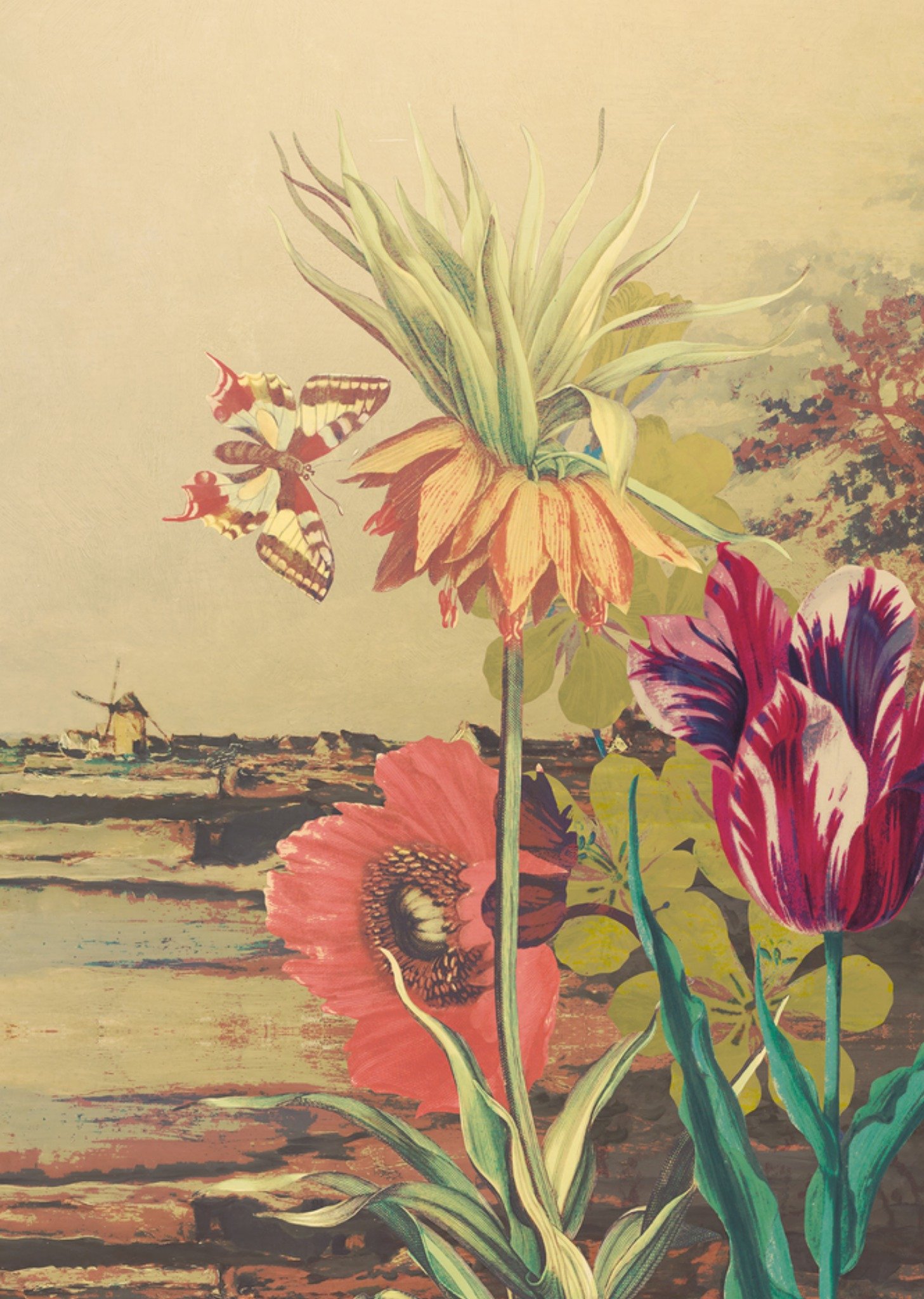 Verjaardagskaart Buiten Kaart NIN-NIT