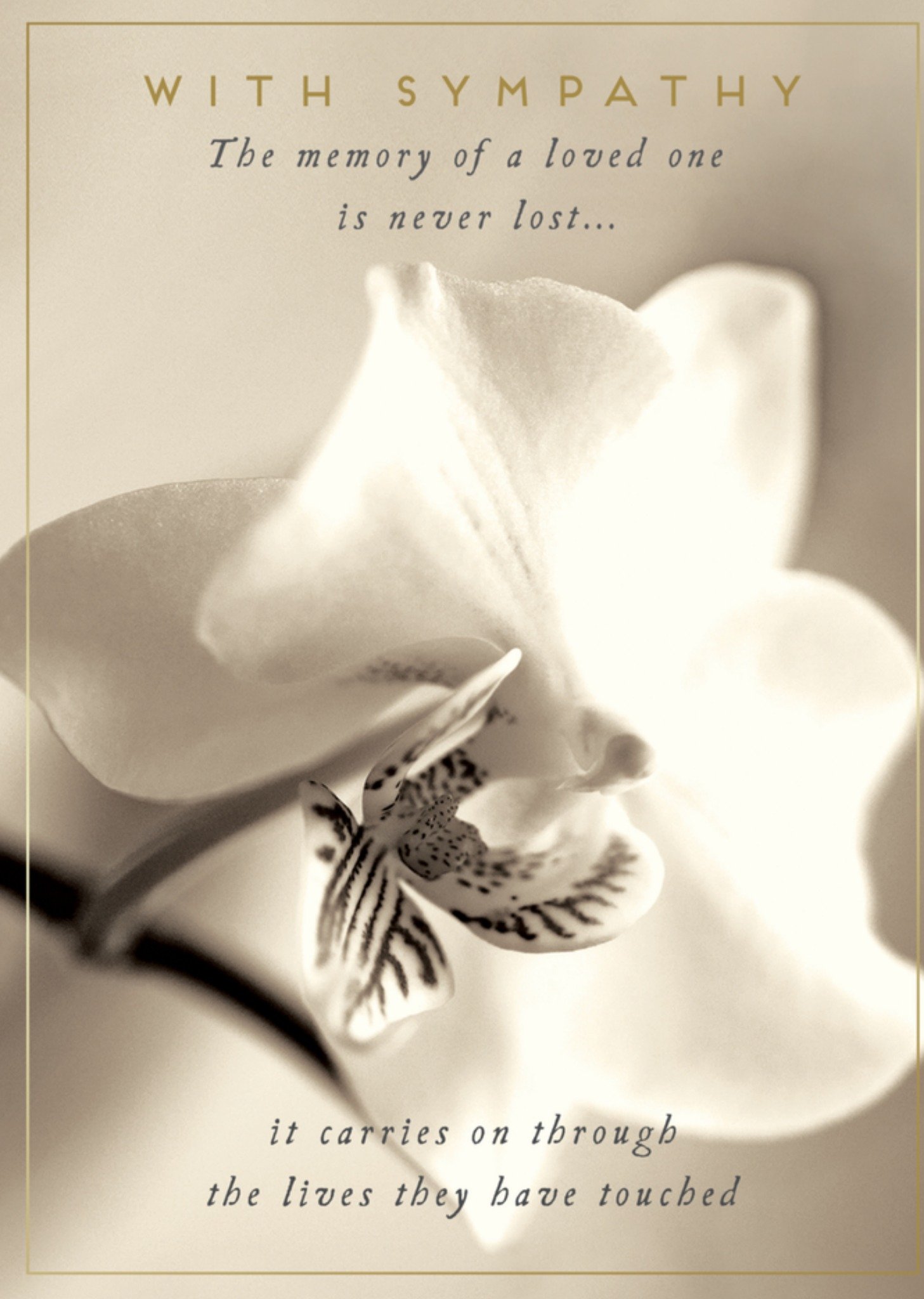 Condoleancekaart bloem Kaart Pigment