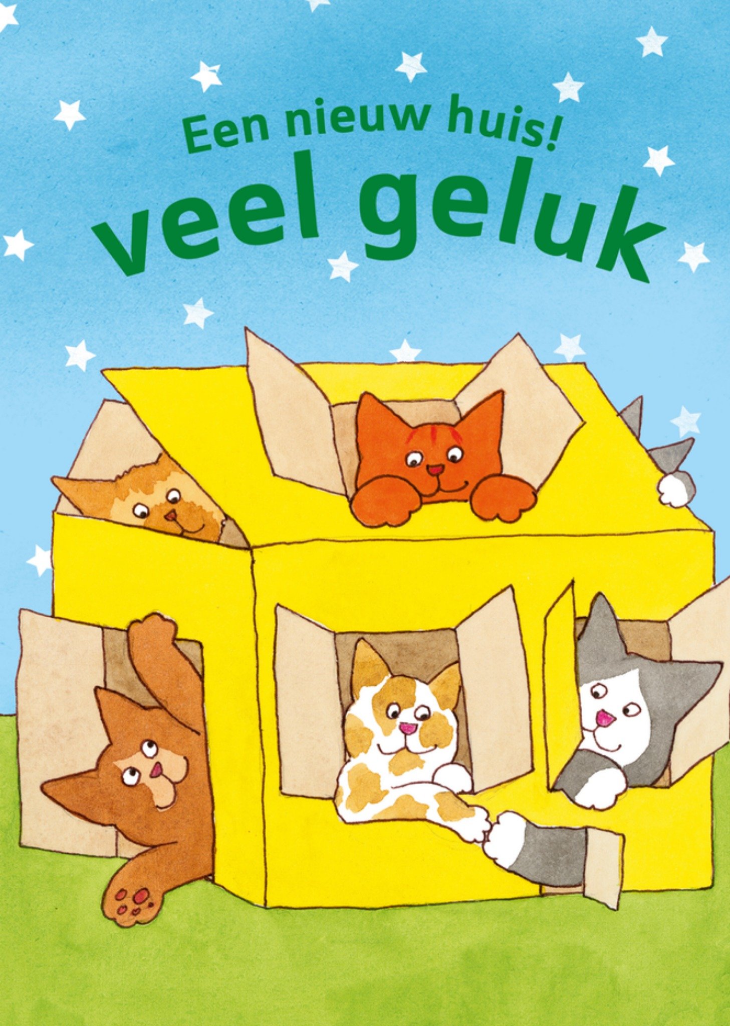 in kartonnen huis Kaart Dikkie Dik