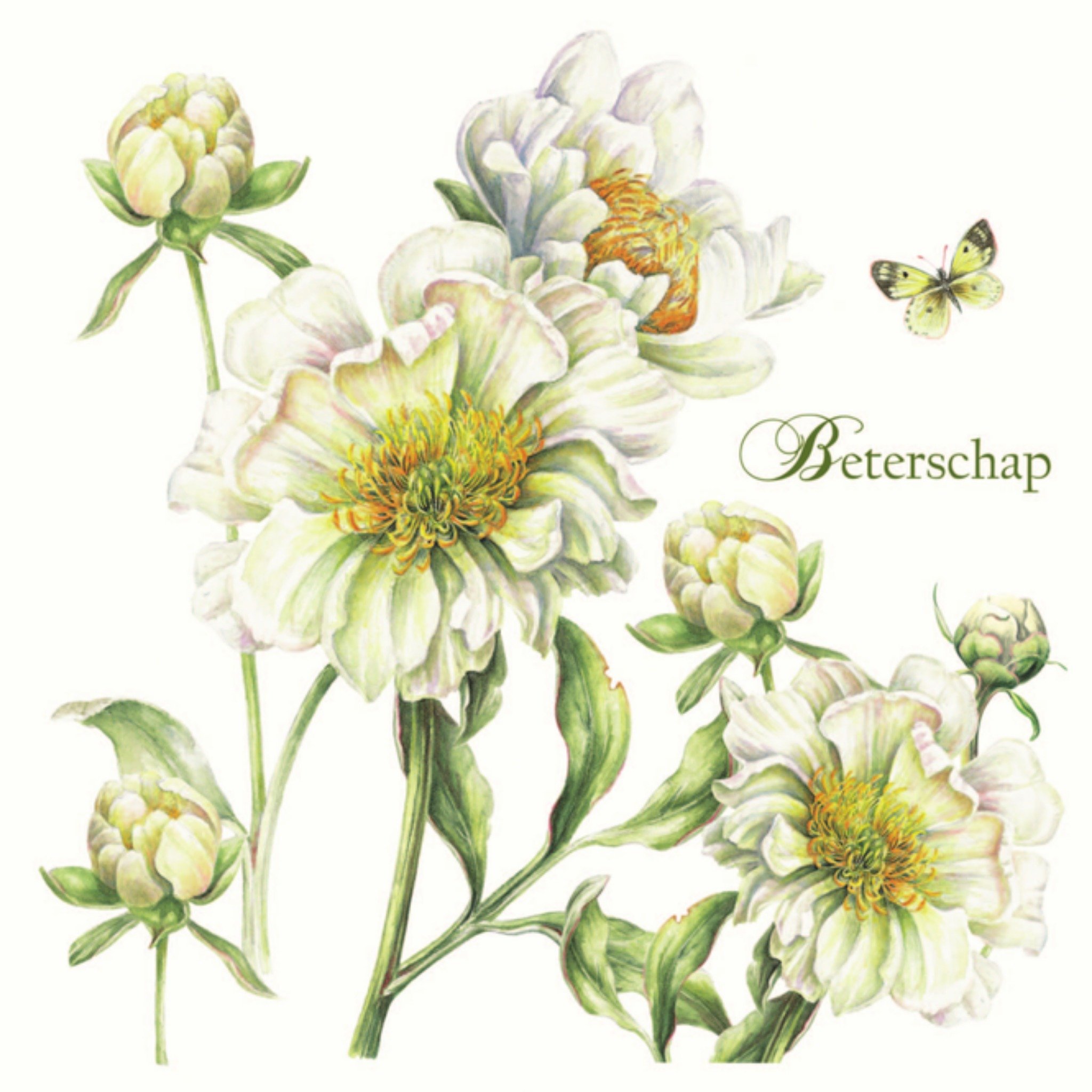 Beterschapskaart Witte bloemen en vlindertje Vierkante Kaart Janneke Brinkman