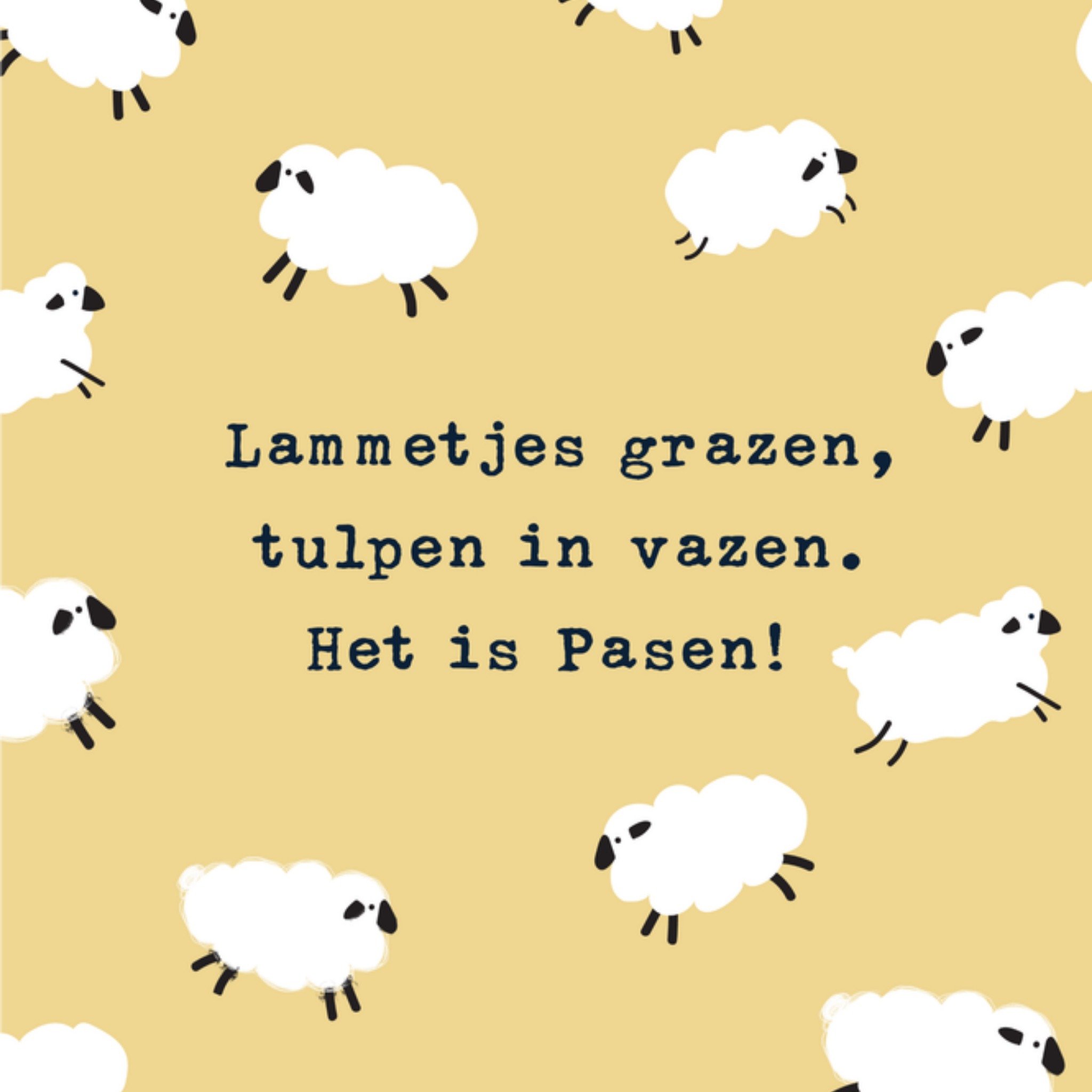 Paaskaart Schaap Vierkante Kaart Greetz