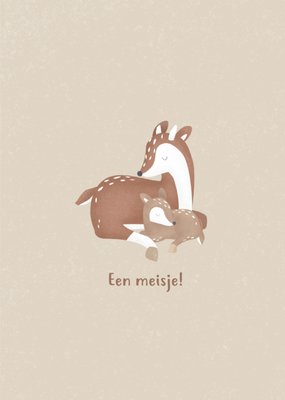 Little Dutch | Geboortekaart | Dieren