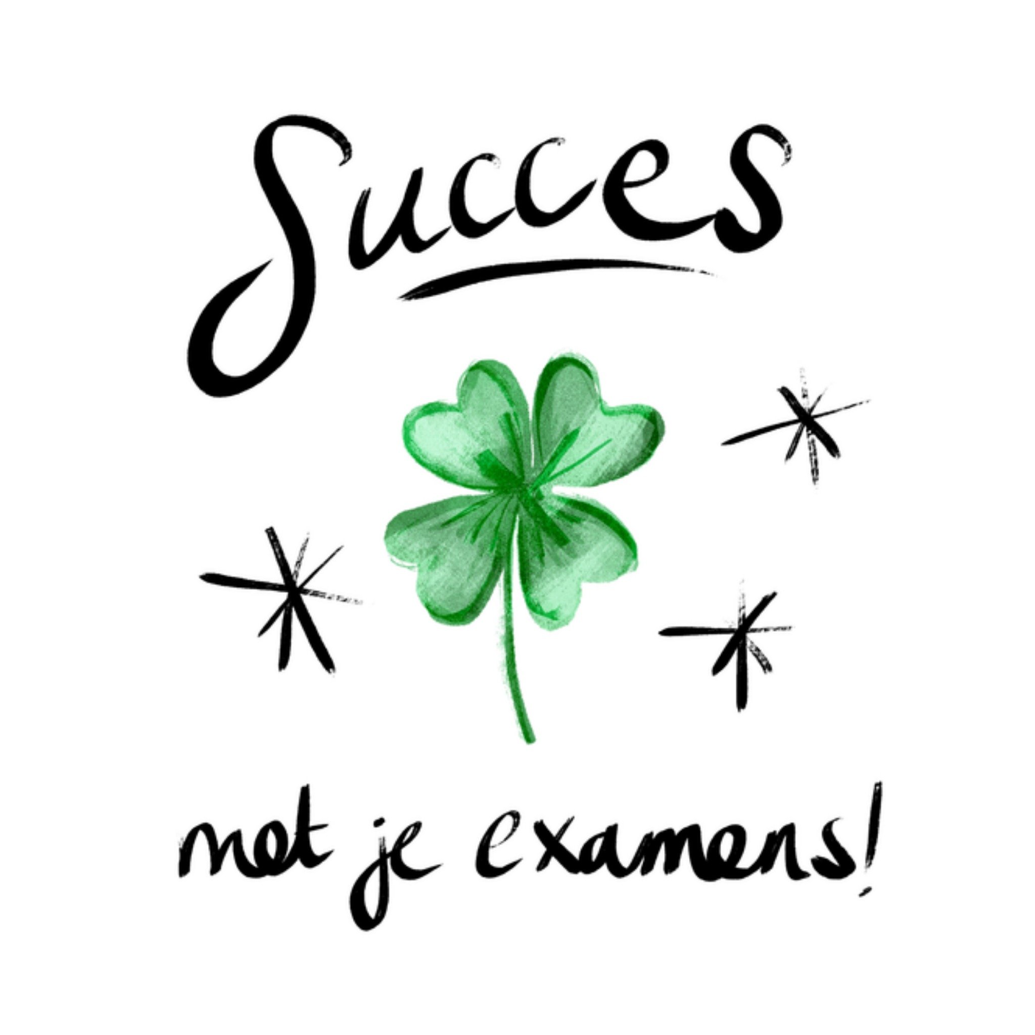 Greetz Succeskaart Very Good Very Nice Examen Klavertje vier Vierkant