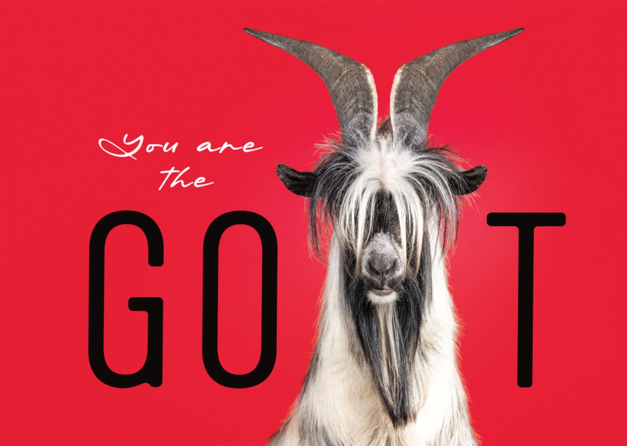 Catchy Images Geslaagdkaart Funny Goat You Are The GOAT Greetz