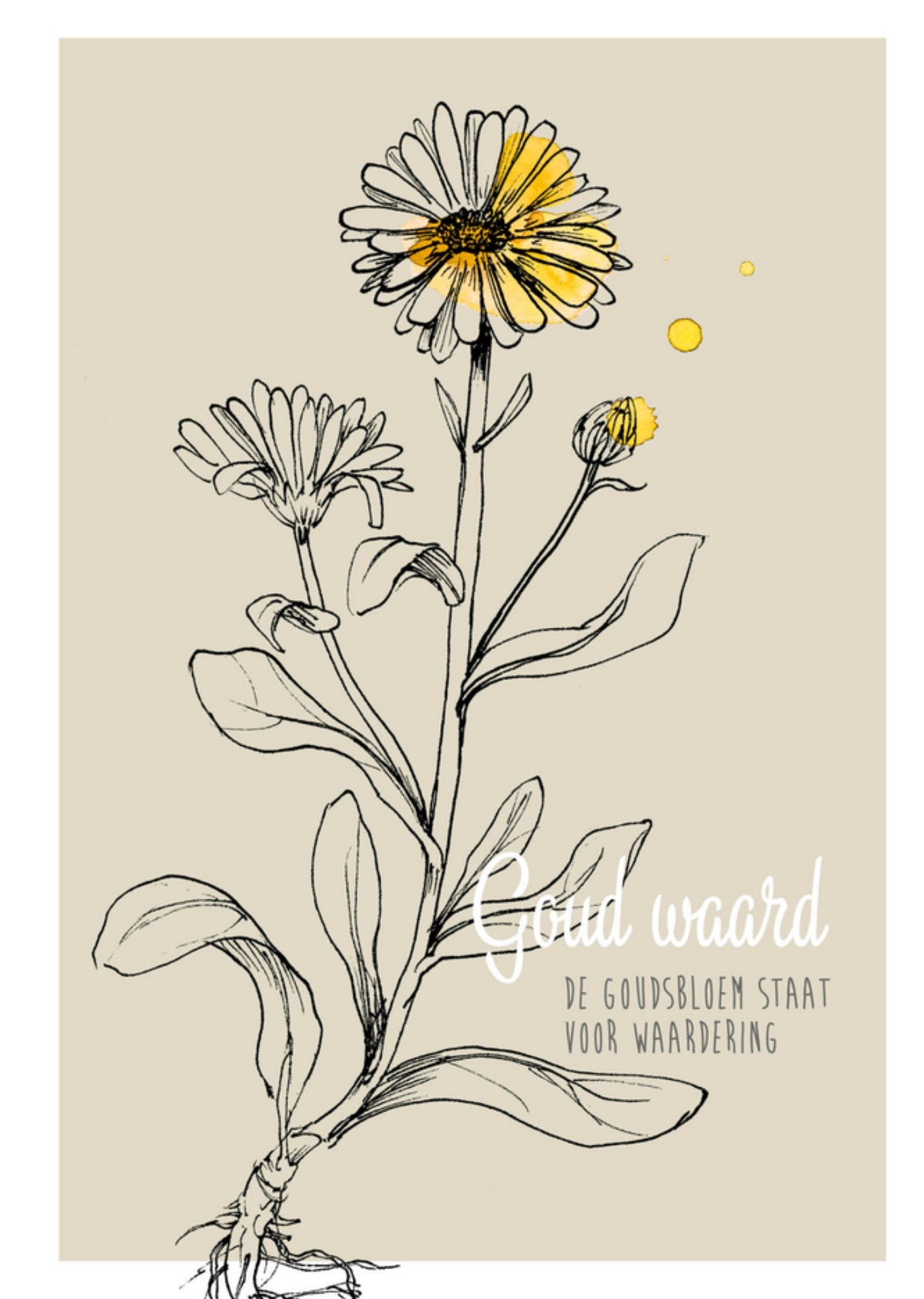 Vriendschapskaart Goudsbloem voor waardering Kaart Veer Moon