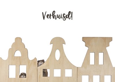 Catchy Images | Nieuwe woning | hamster | huis