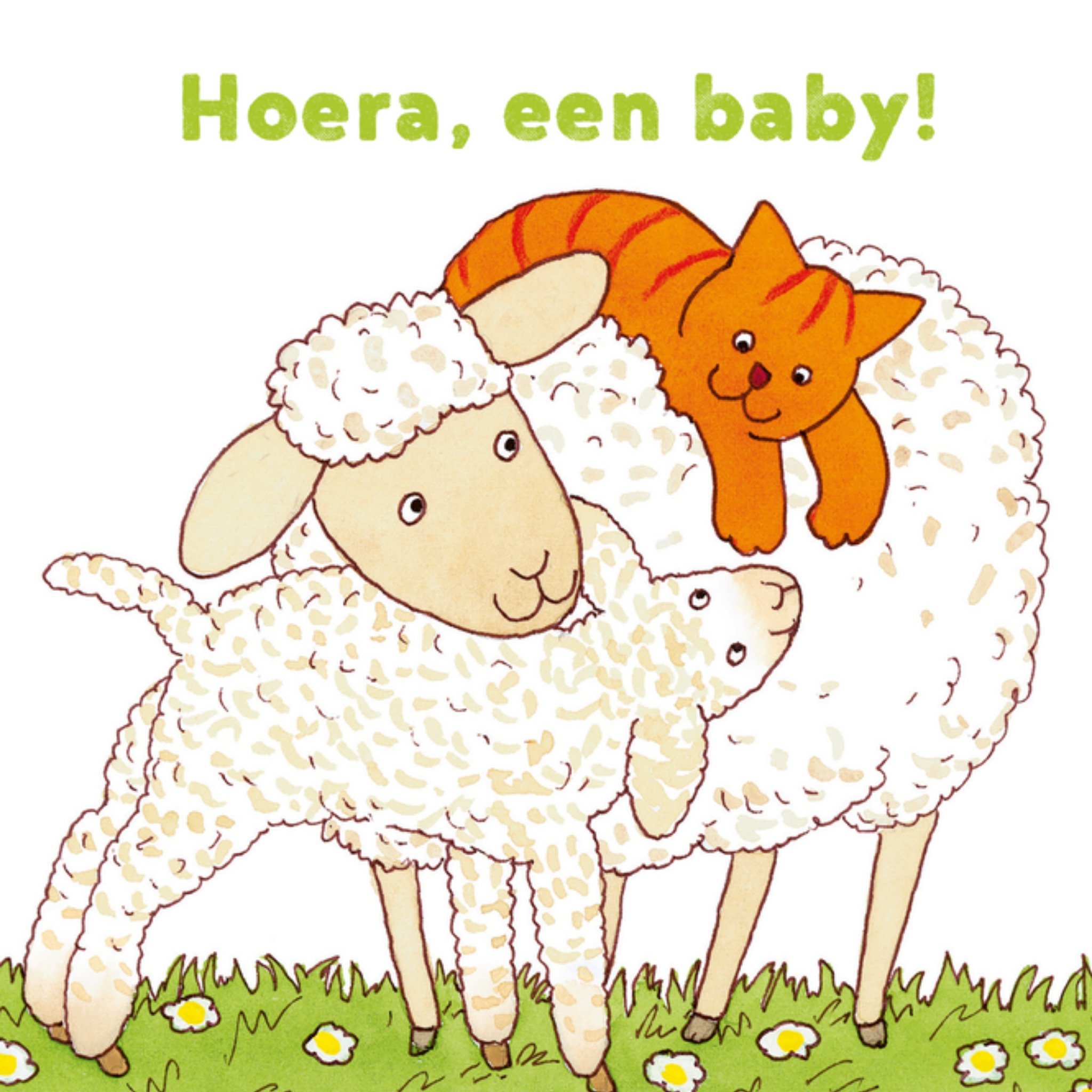 Geboortekaart Schaapjes Vierkante Kaart Dikkie Dik