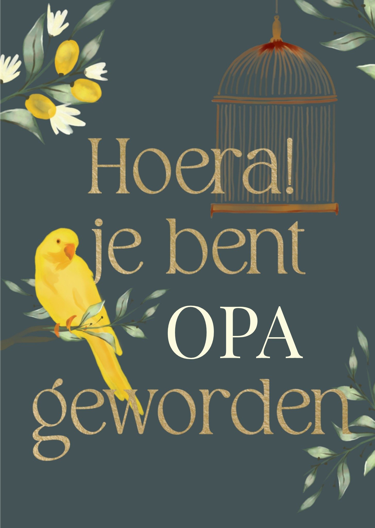 Geboortekaart Opa Met aanpasbare tekst Kaart Greetz