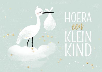 Luckz | Geboortekaart | ooievaar