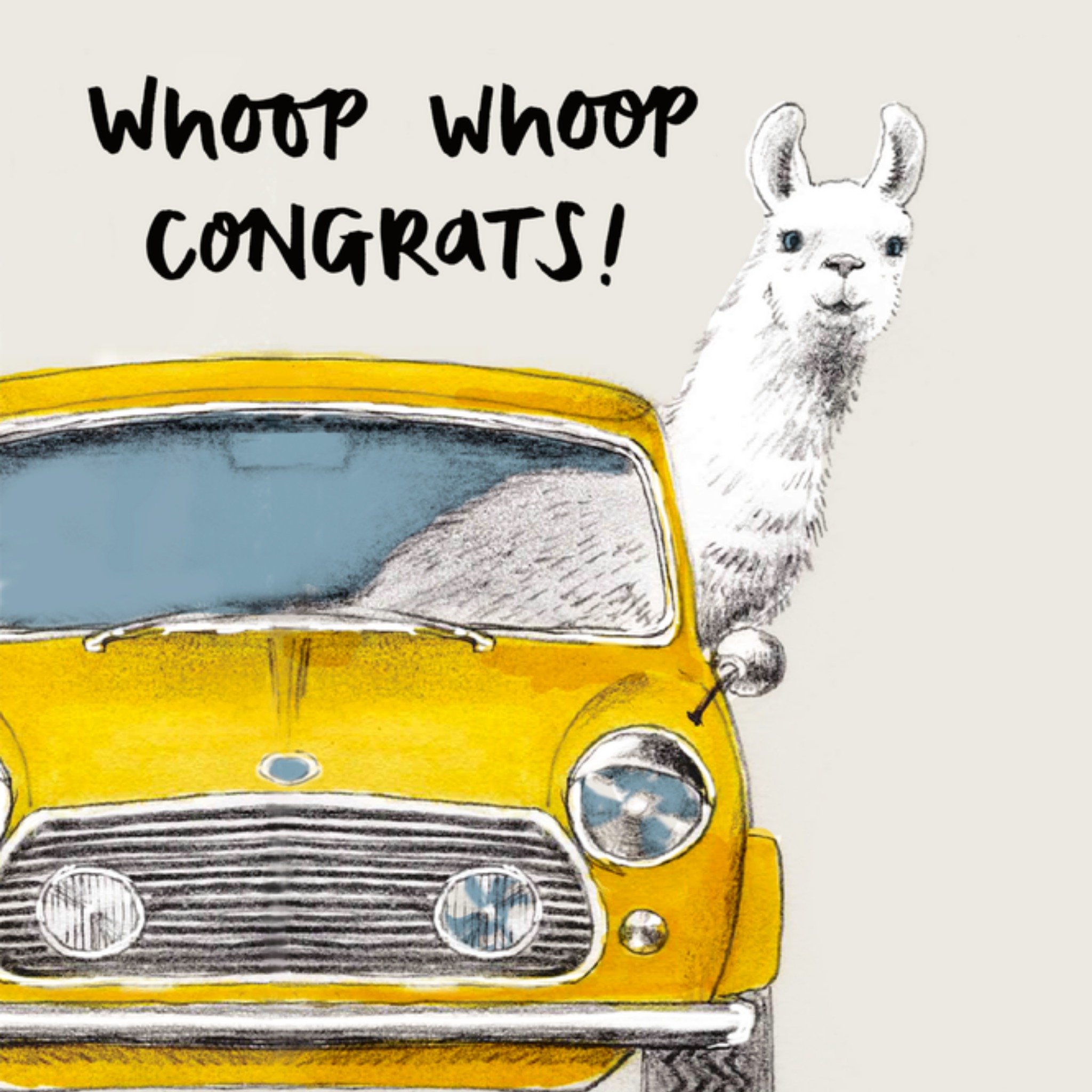 Verjaardagskaart Lama Vierkante Kaart UK Greetings