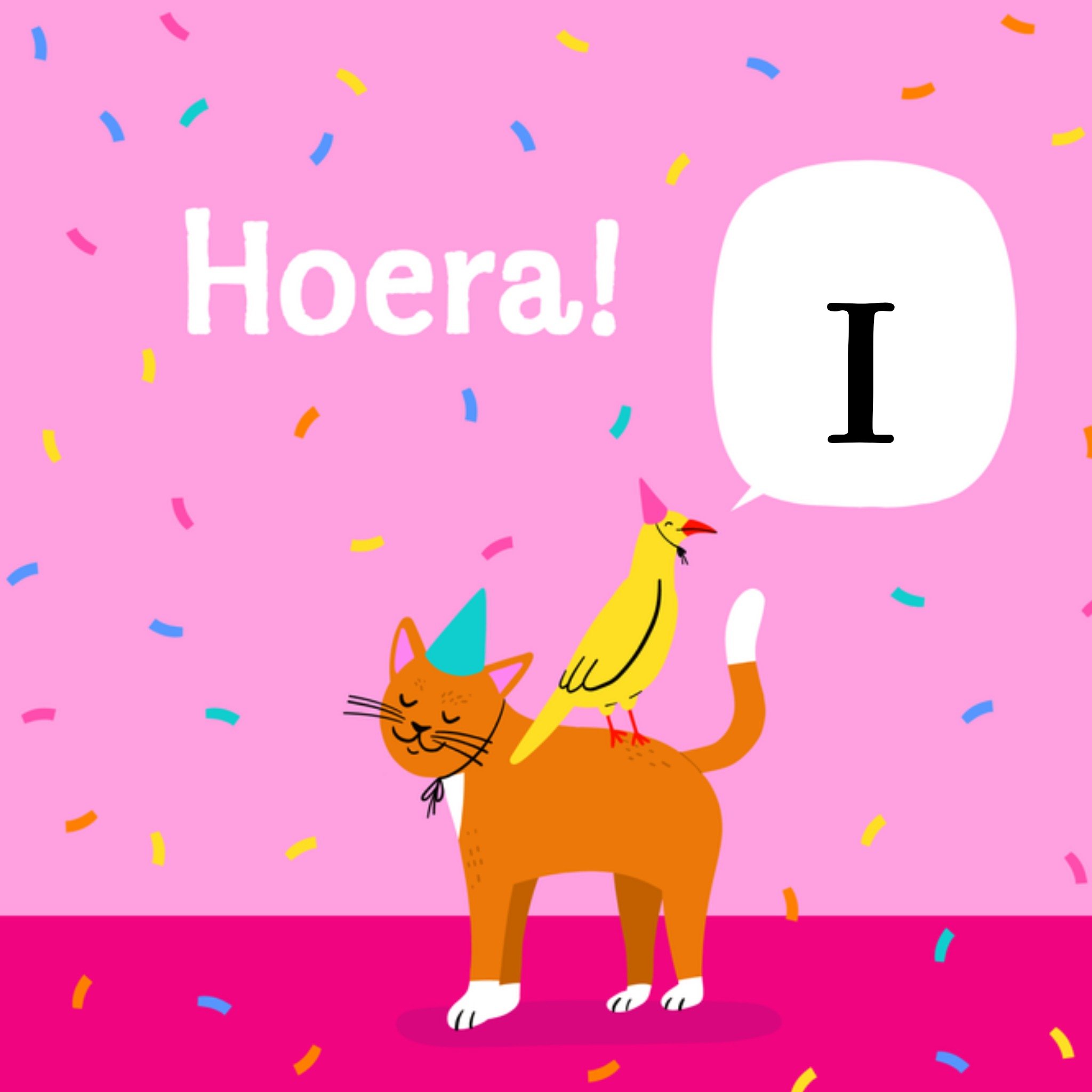 Greetz Verjaardagskaart Julia Vrolijk Vierkant