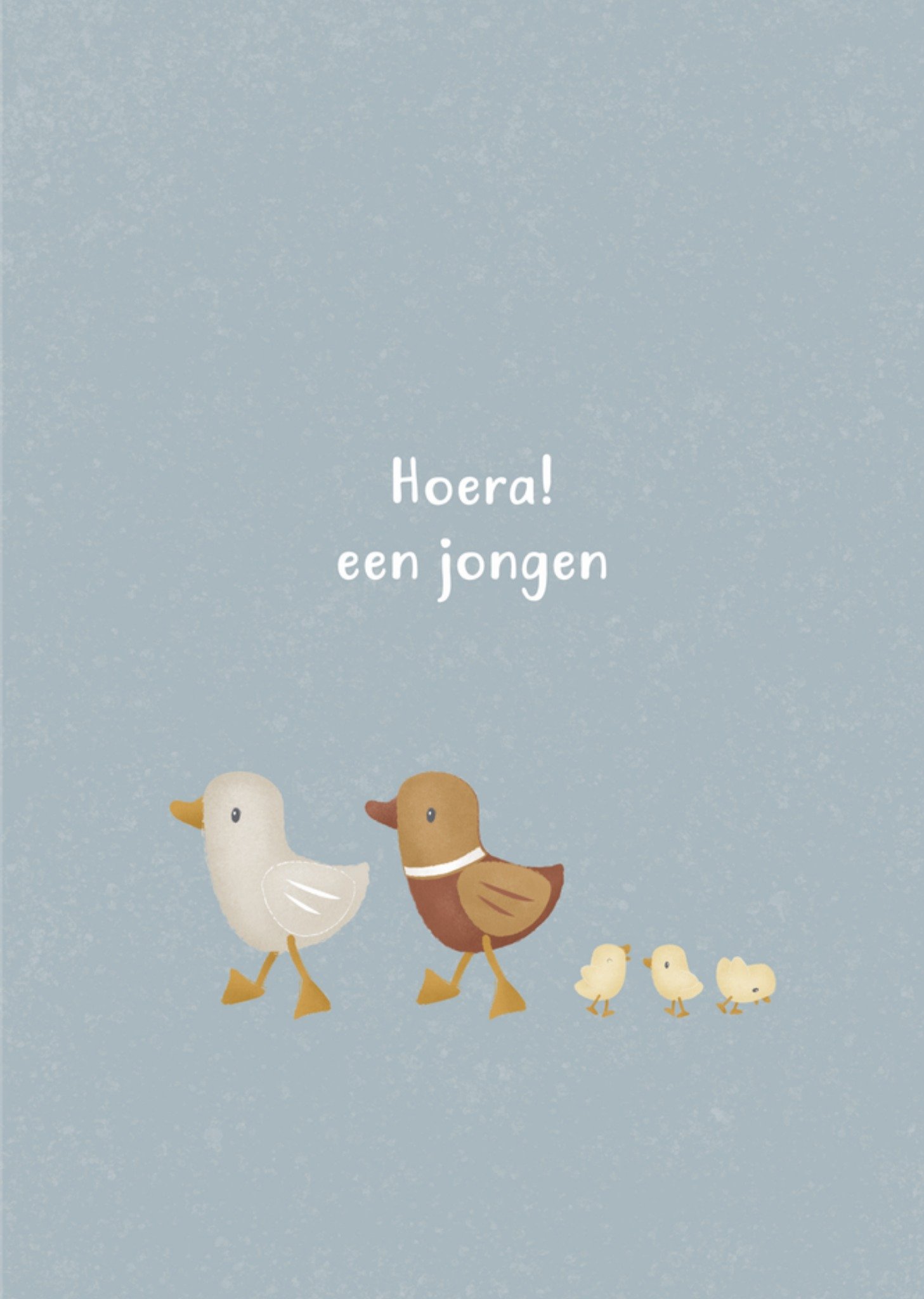 Geboortekaart Hoera! Kaart Little Dutch