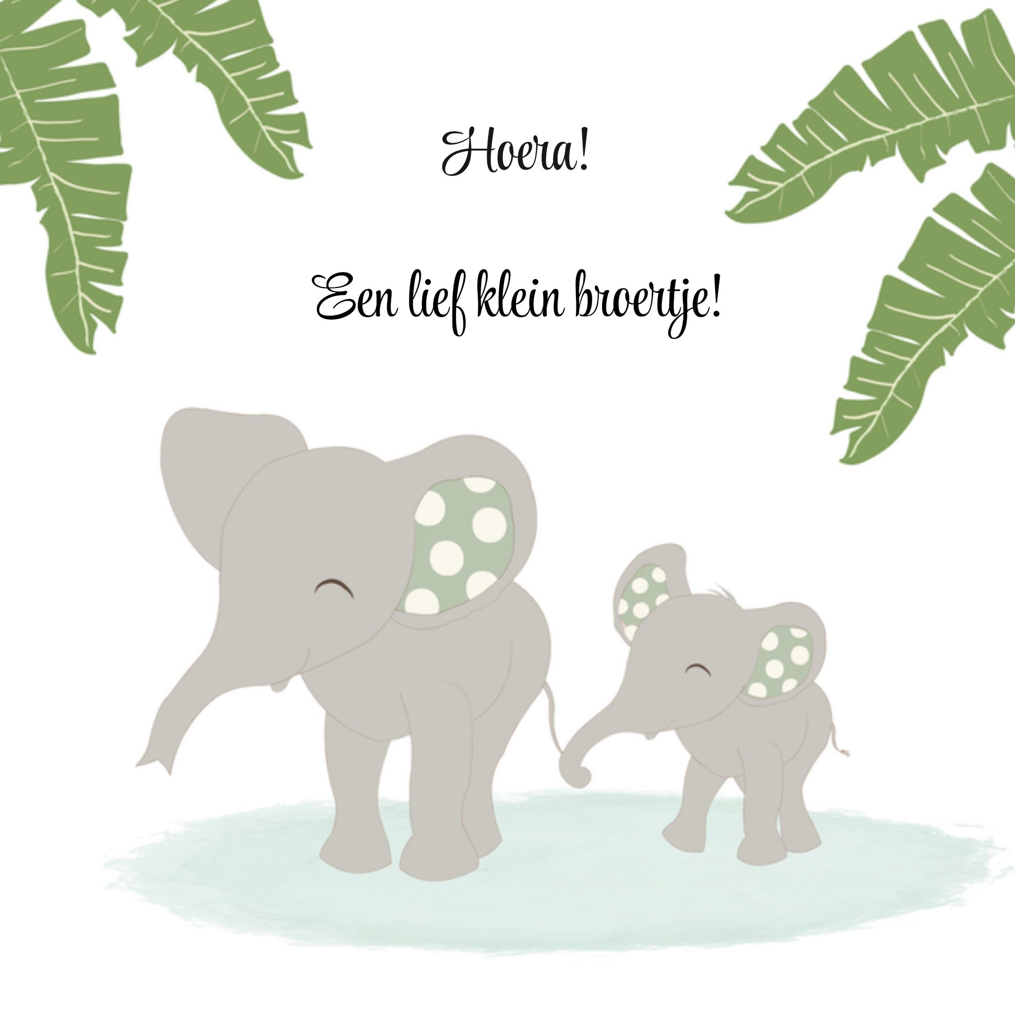 Geboortekaart lief broertje Vierkante Kaart Tsjip