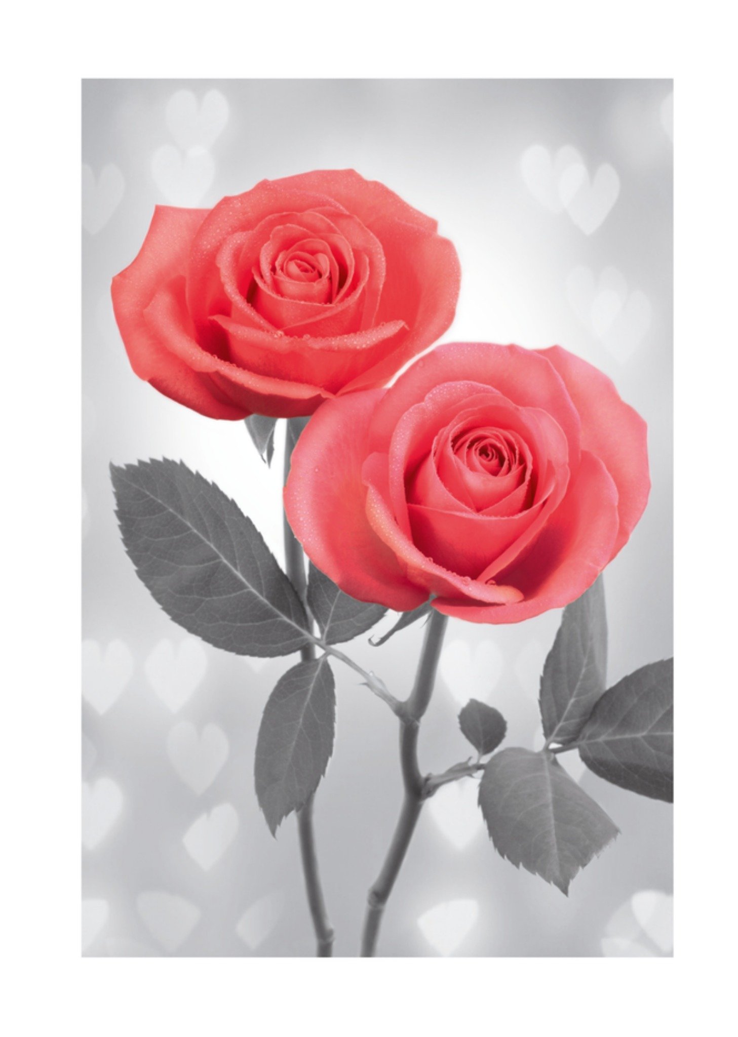 Liefde kaart Vrolijk Kaart Paperclip