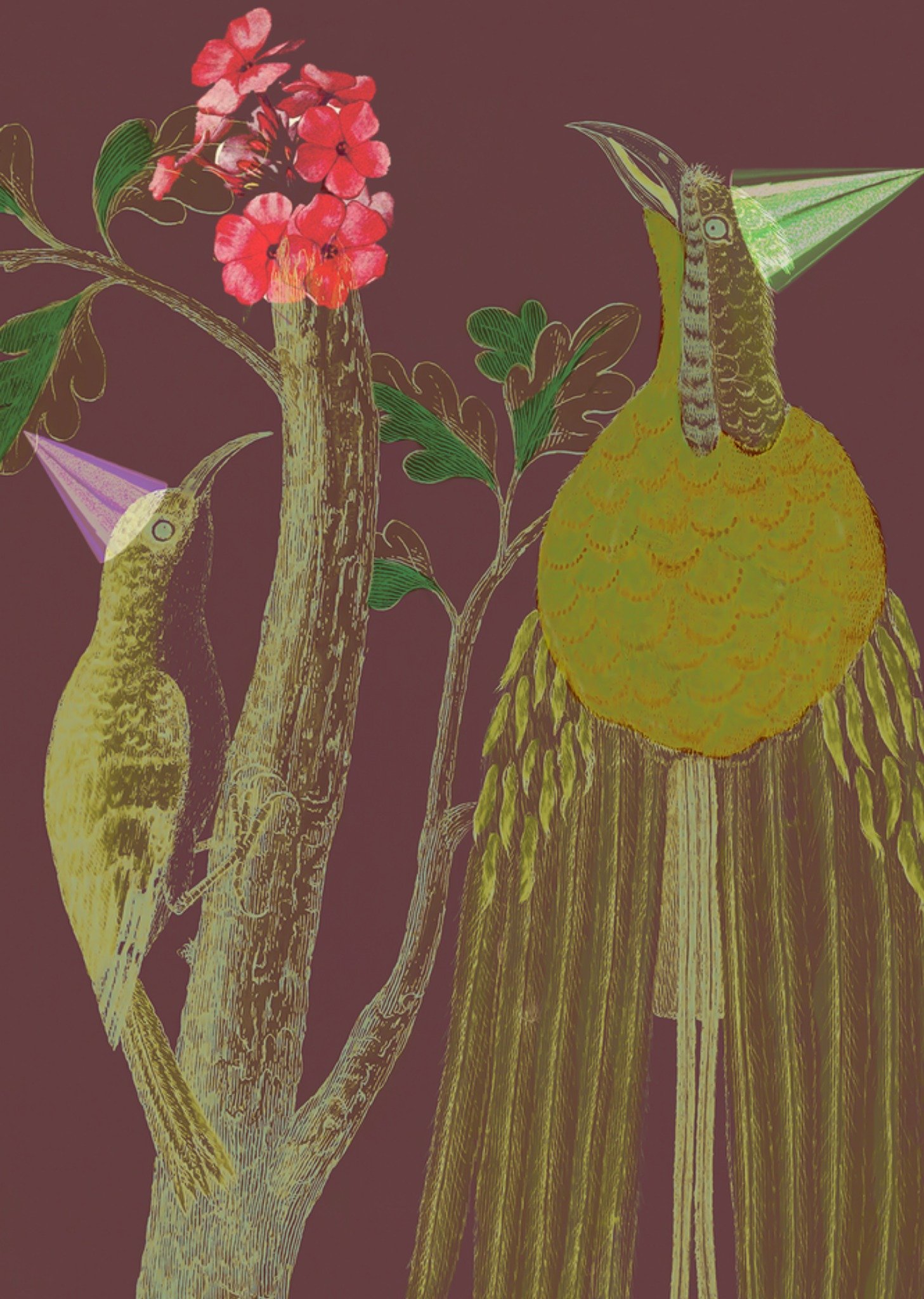 Verjaardagskaart Dieren Kaart NIN-NIT