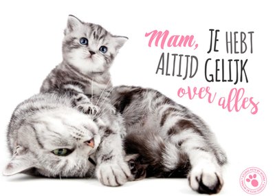 Mam Je Hebt Altijd Gelijk Over Alles Katten Kaart