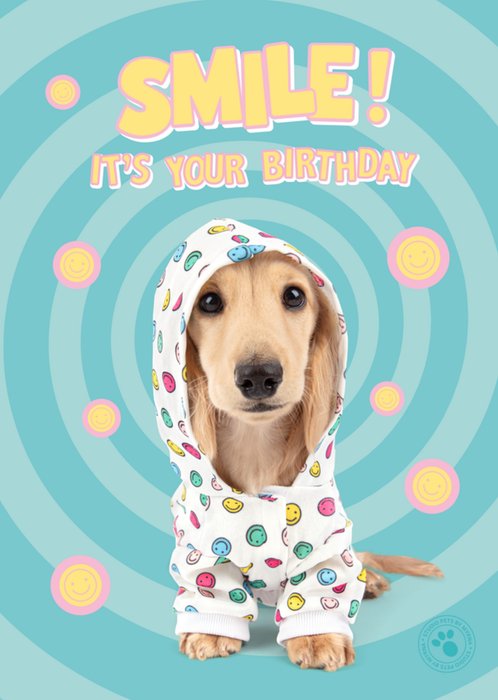Studio Pets | Verjaardagskaart | Smile it's your birthday