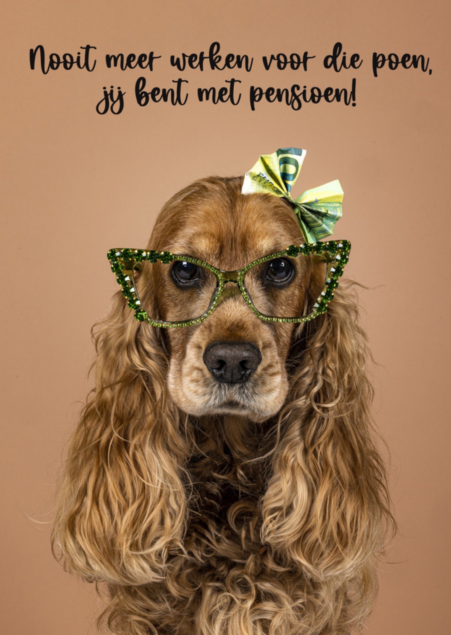 Catchy Images Pensioenkaart dieren Standard Card