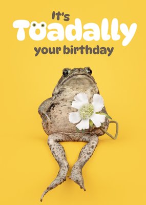 Catchy Images | Verjaardagskaart | it's toadally your birthday