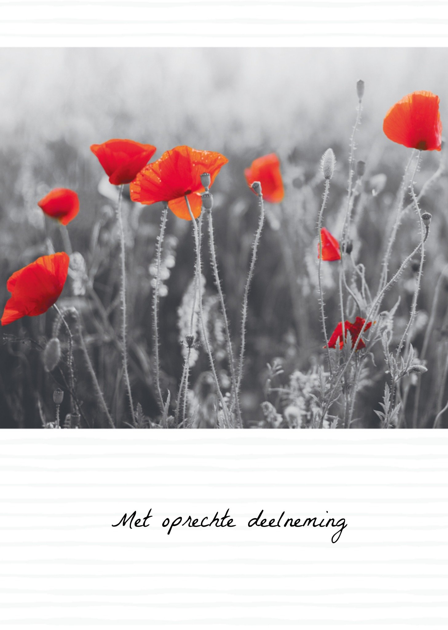 Condoleance Bloemen Neutraal Kaart TMS