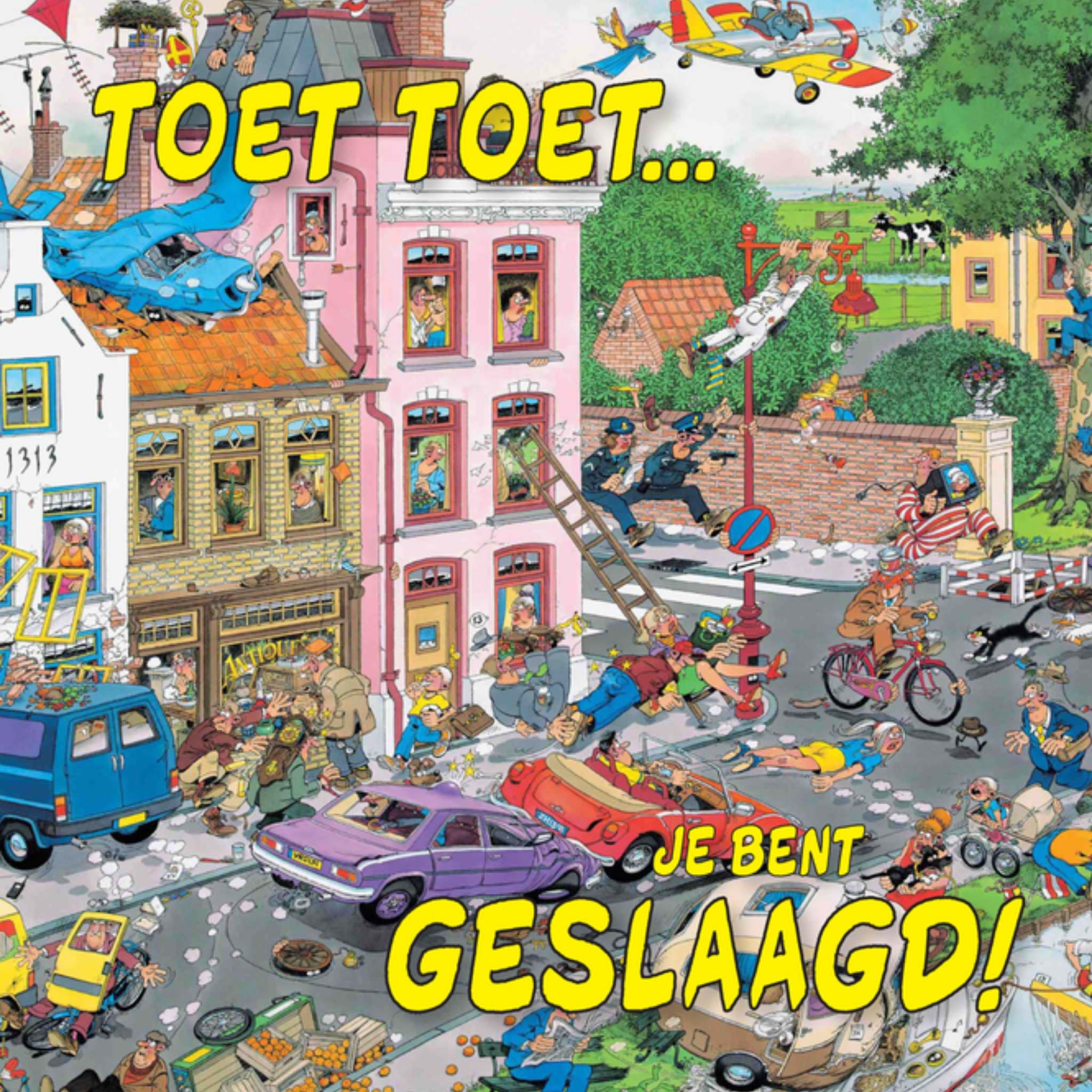 Geslaagd kaart illustratie Vierkante Kaart Jan van Haasteren