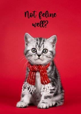 Catchy Images | Beterschapskaart | Not feline well?