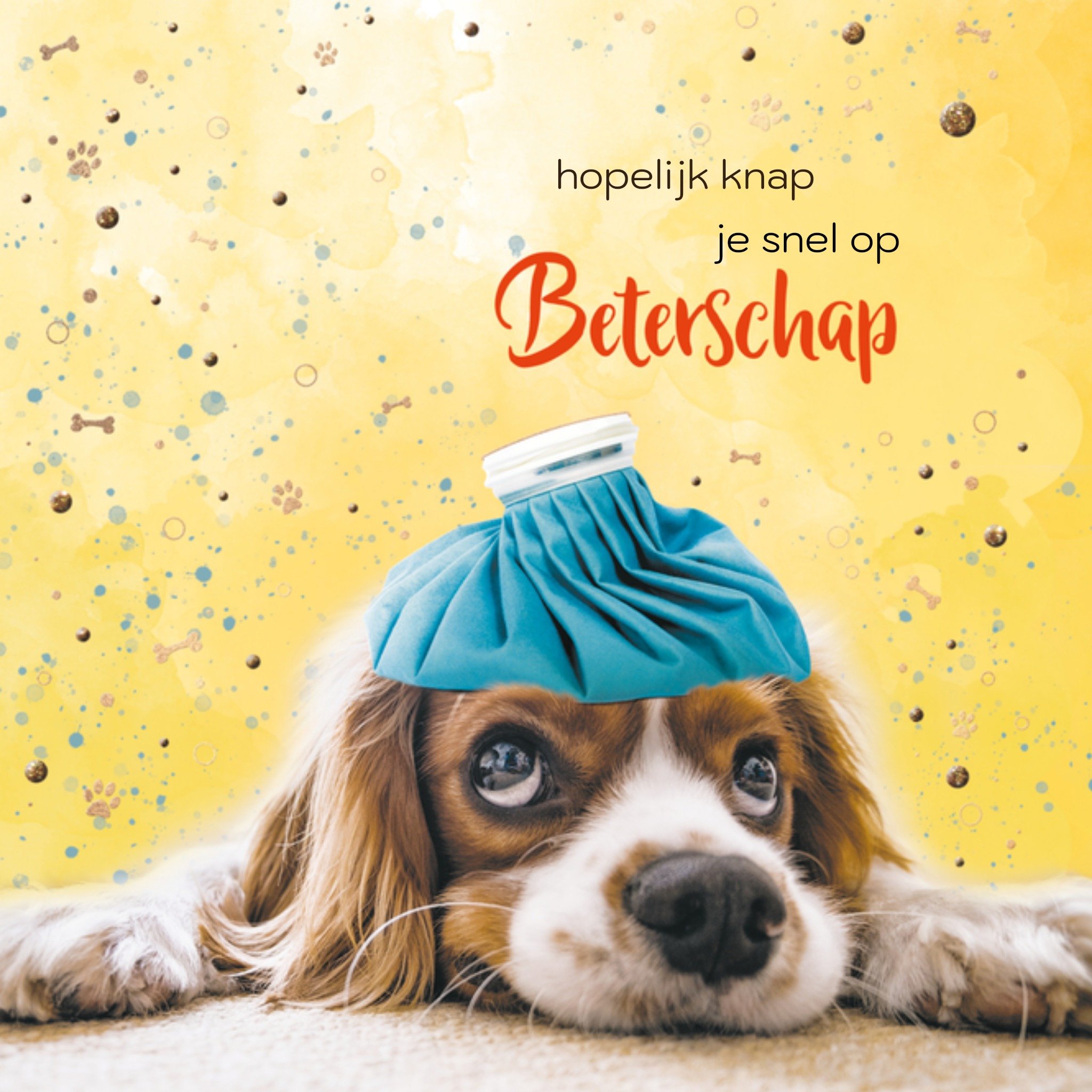 Beterschapskaart hondje Vierkante Kaart TMS