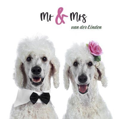 Mr En Mrs Poedels Bruiloft Kaart