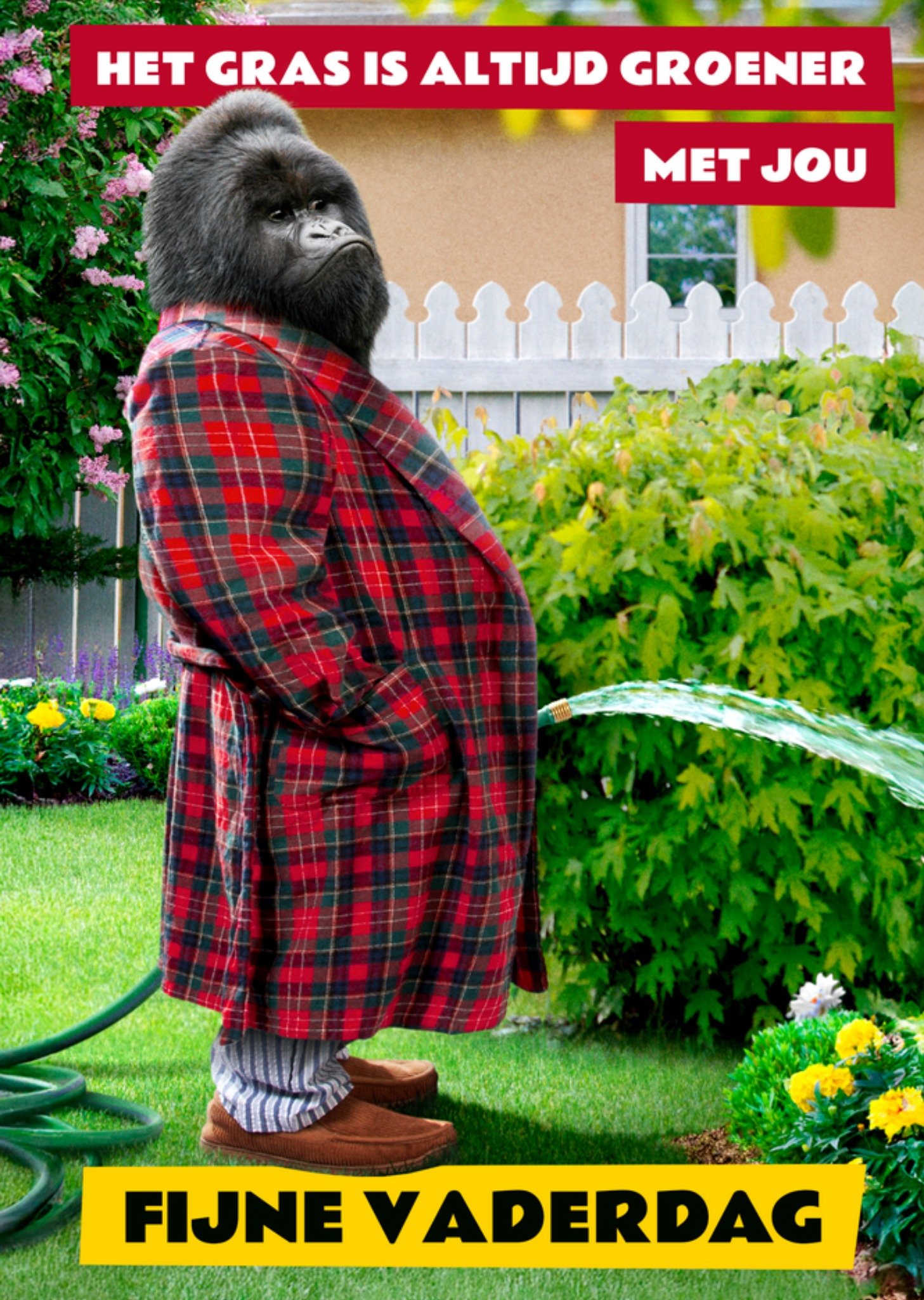 Vaderdagkaart Het gras is altijd groener met jou Vader gorilla Kaart Avanti