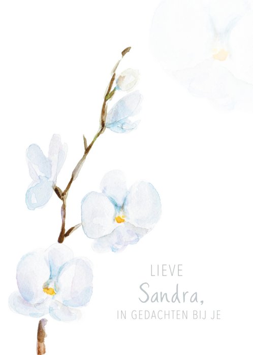 Michelle Dujardin | Condoleancekaart | Witte orchidee