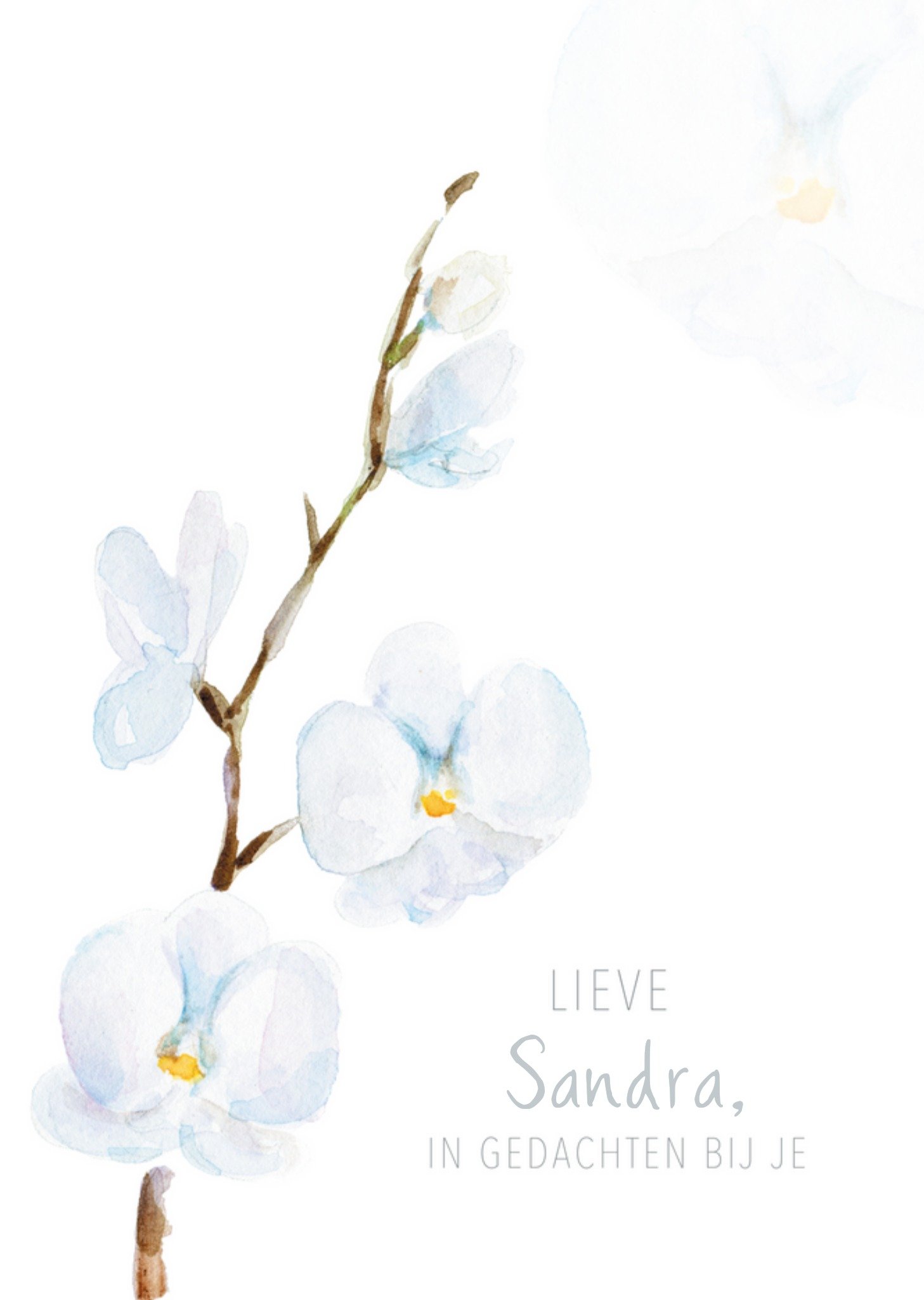 Michelle Dujardin - Condoleancekaart - Witte orchidee