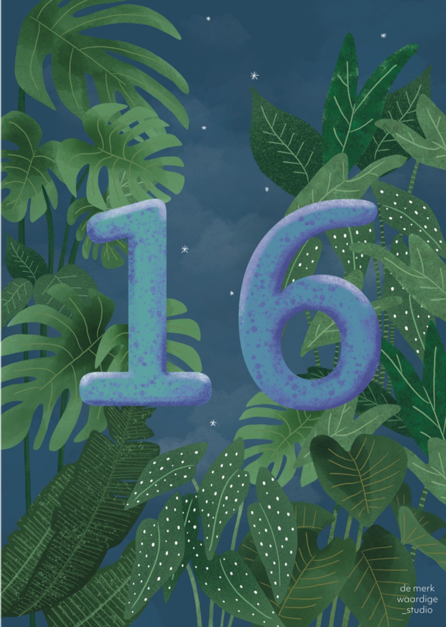 De Merkwaardige Studio Verjaardagskaart 16 Kaart De merkwaardige studio