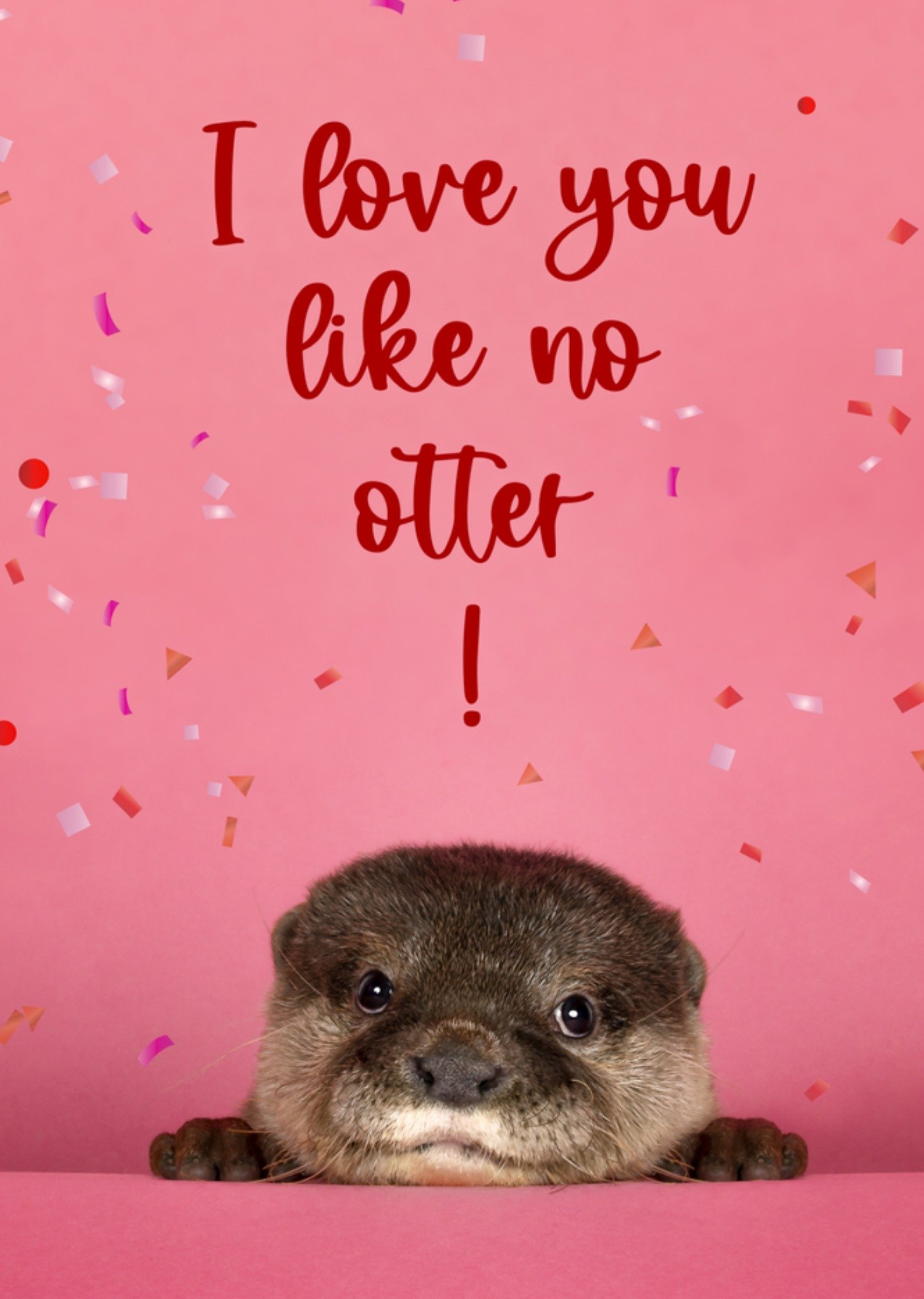Valentijnskaart love you like no otter Kaart Catchy Images