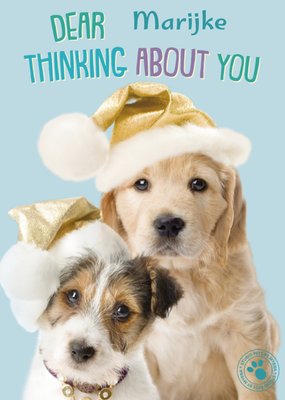 Studio Pets | Kerstkaart | denken aan