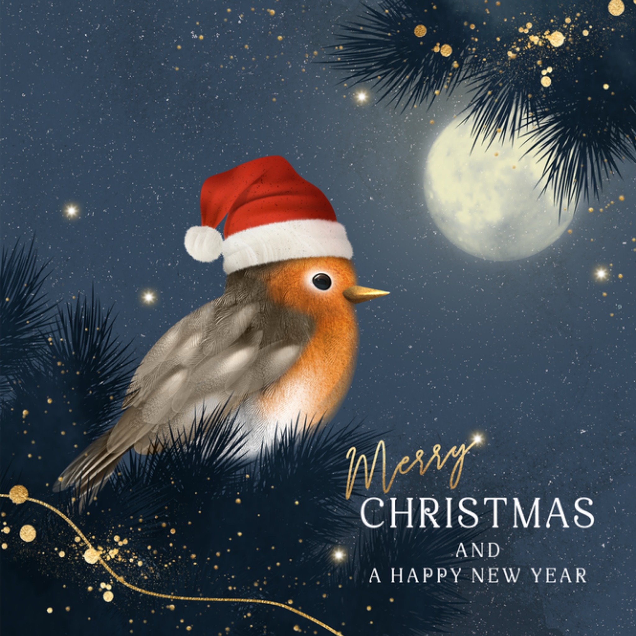 Kerst Kerstkaart roodborstje kerstmuts Luckz