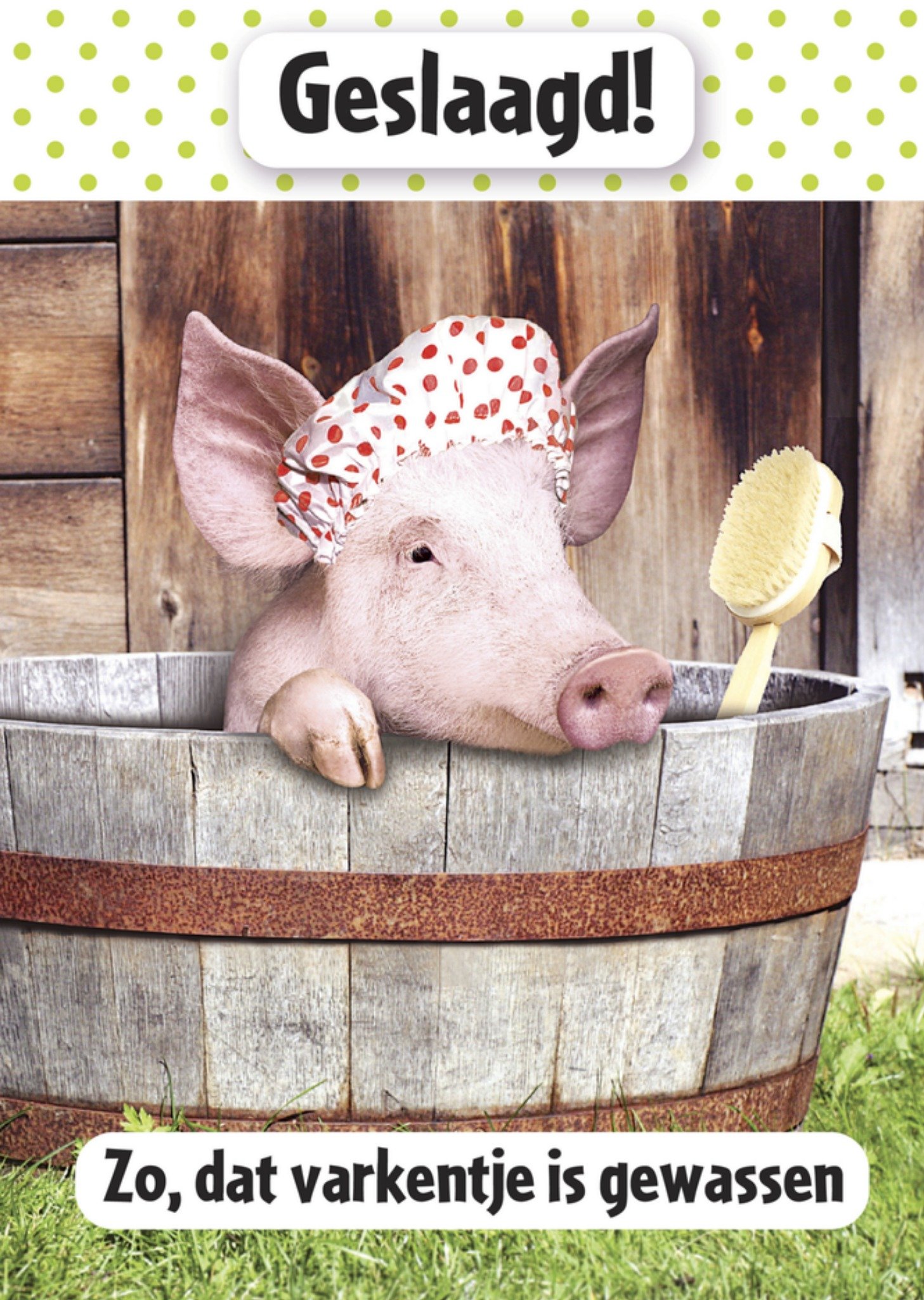 Geslaagd kaart varken Kaart Paperclip
