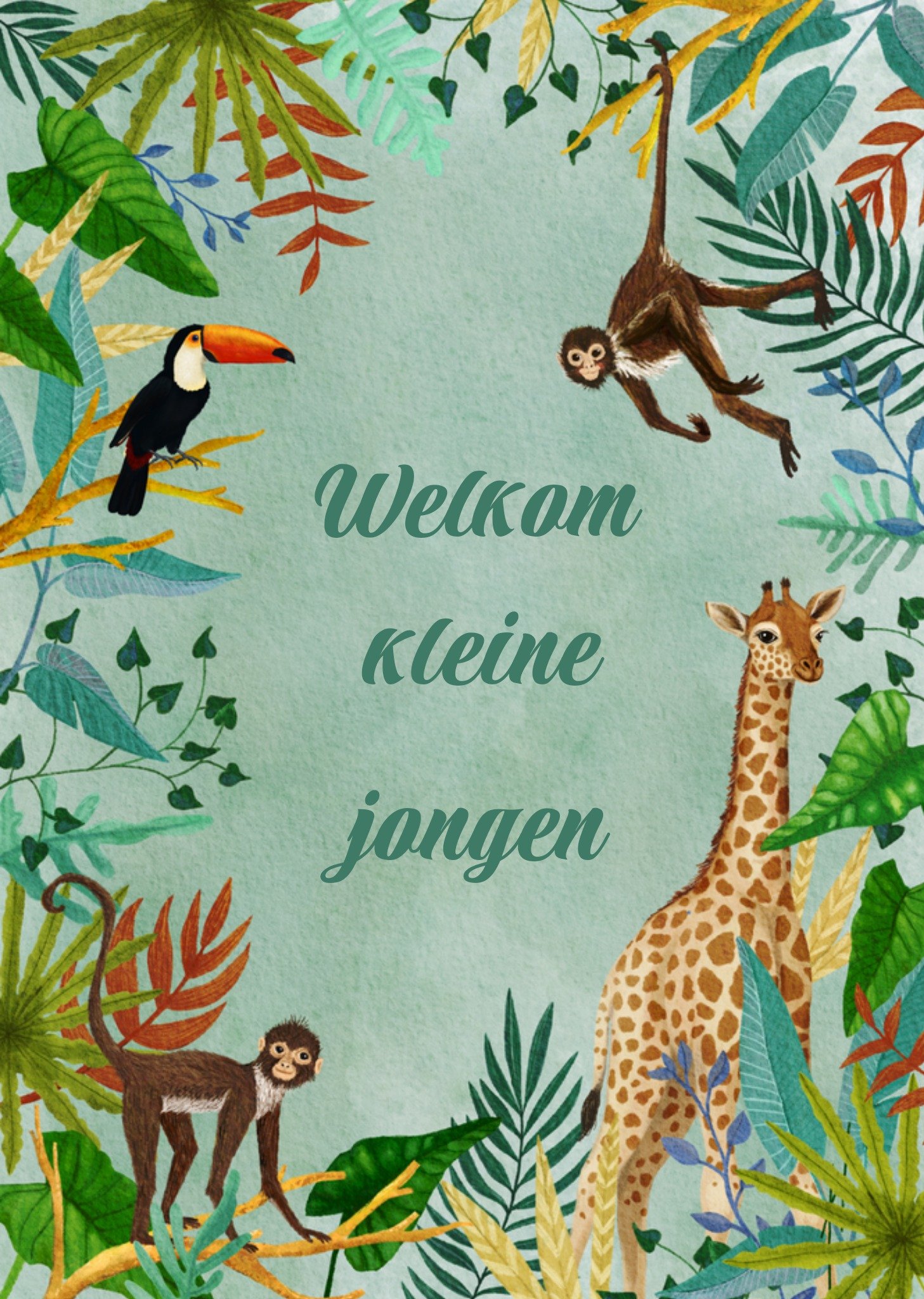 Geboortekaart Illustratie Retro Kaart Petit Konijn