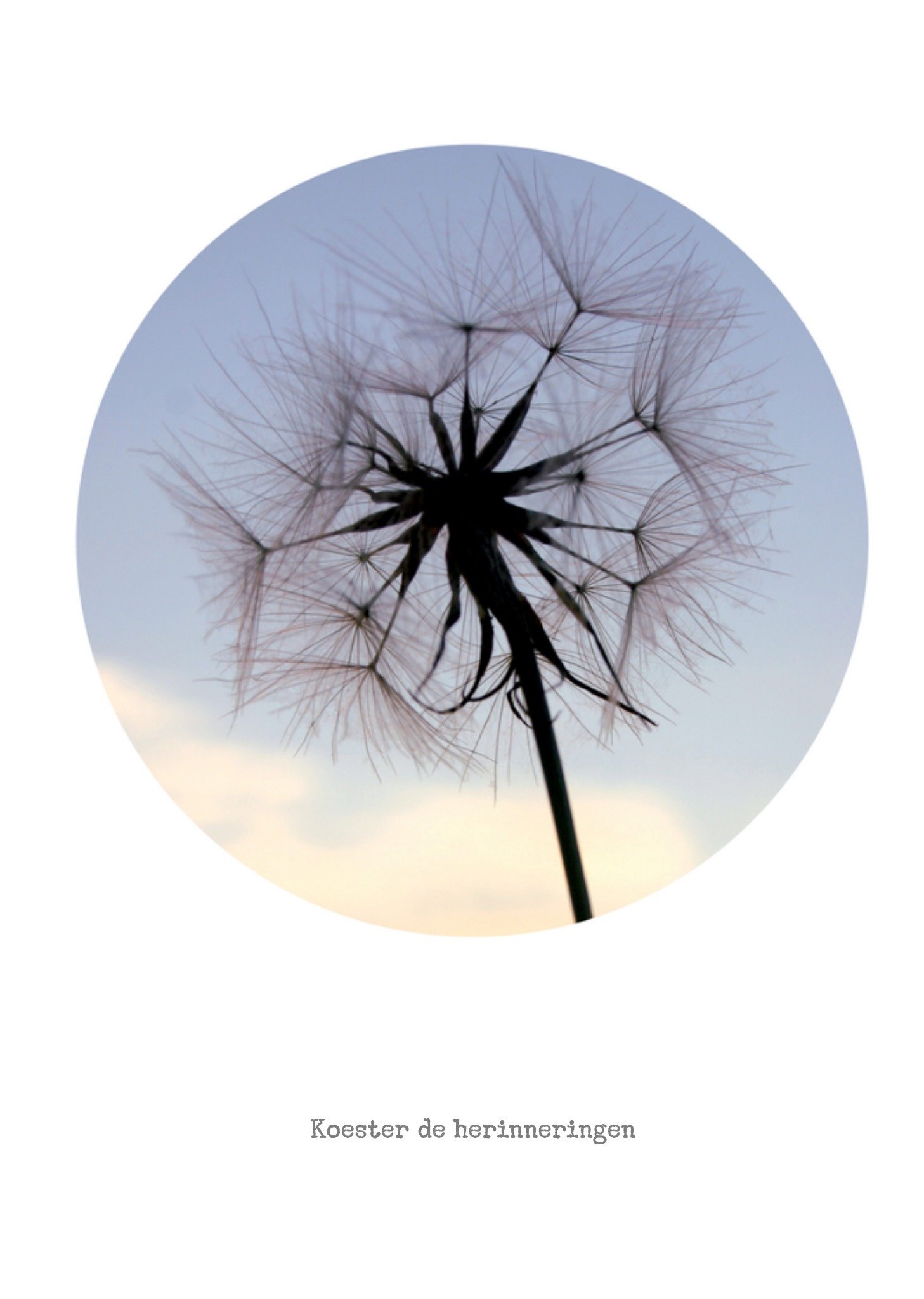 Condoleancekaart Paardenbloem Kaart Bright Spot