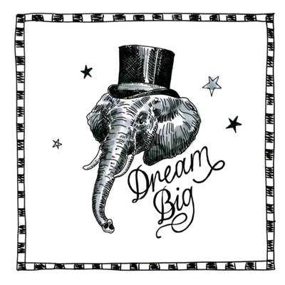 Blond x Noir | Nieuwe baan | Dream Big | Elephant