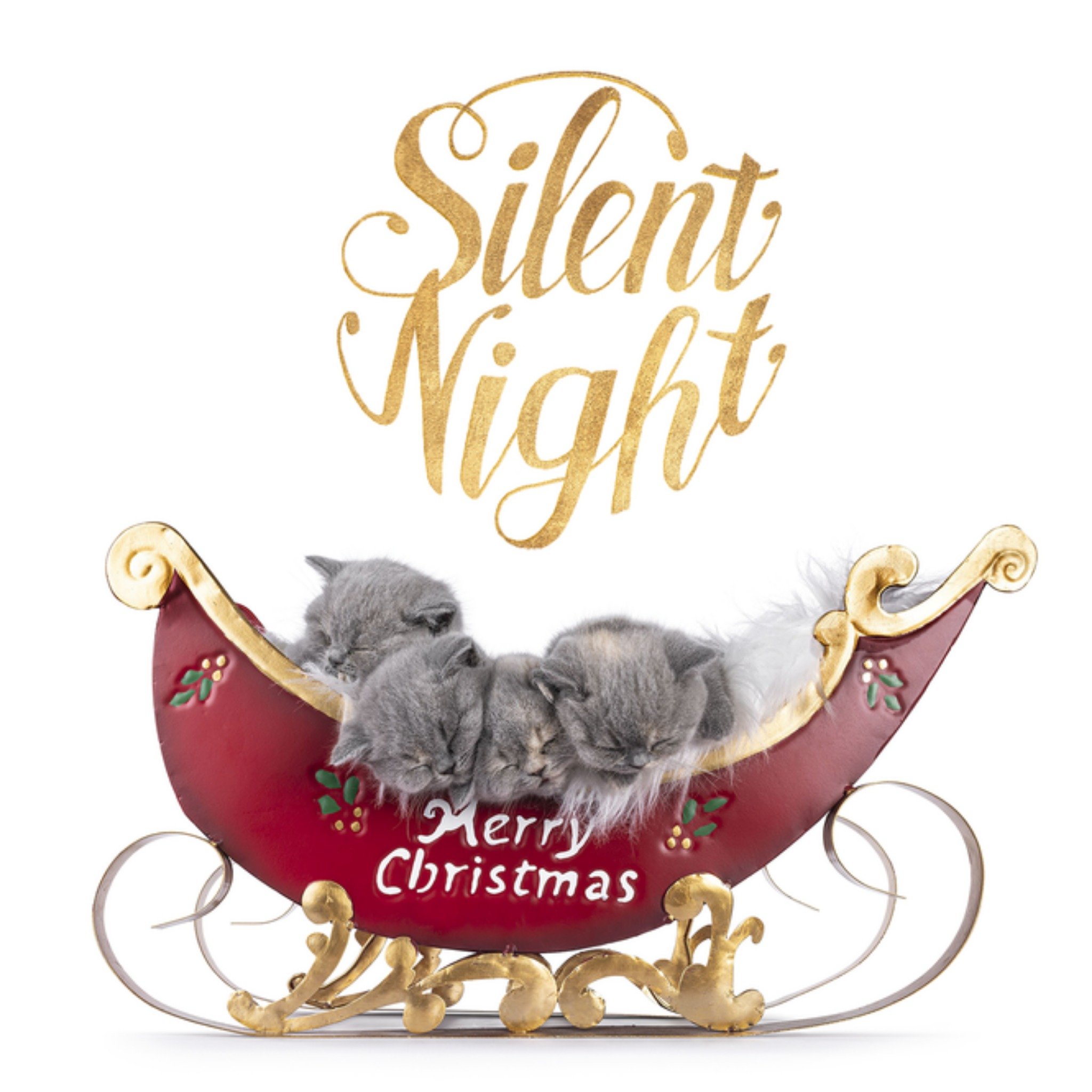 Catchy Kerstkaart Silent Night Catchy Images